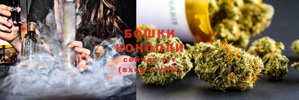 дурь Горно-Алтайск