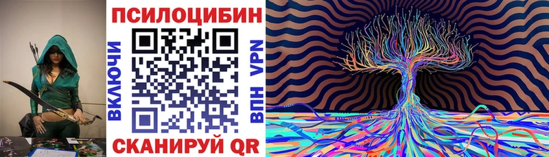 Псилоцибиновые грибы MAGIC MUSHROOMS  купить наркоту  Красногорск 